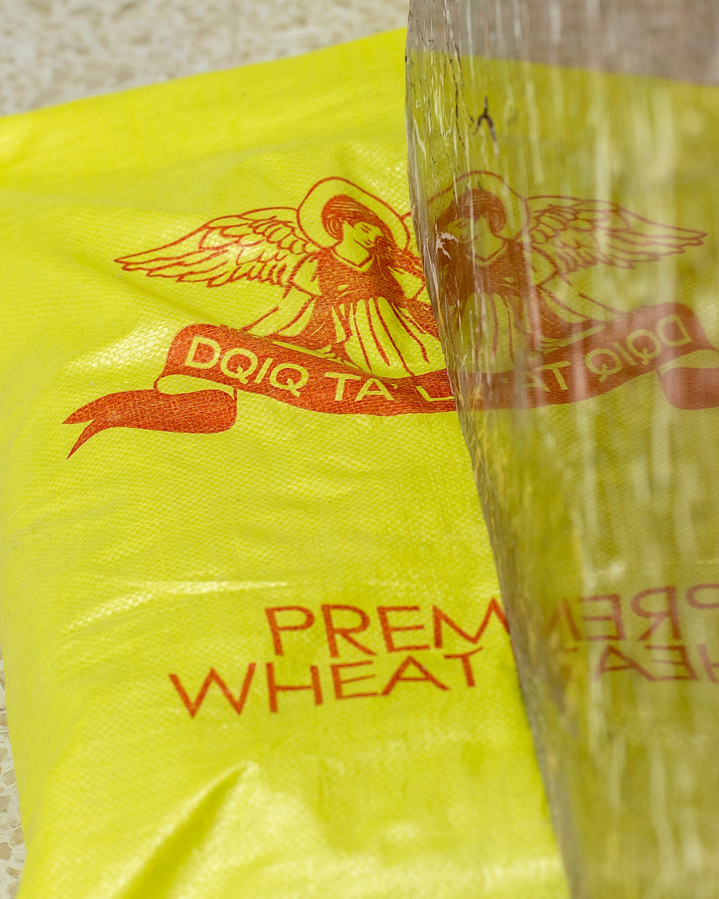 2023 Declaration of Dependence; Drafts and Depictions