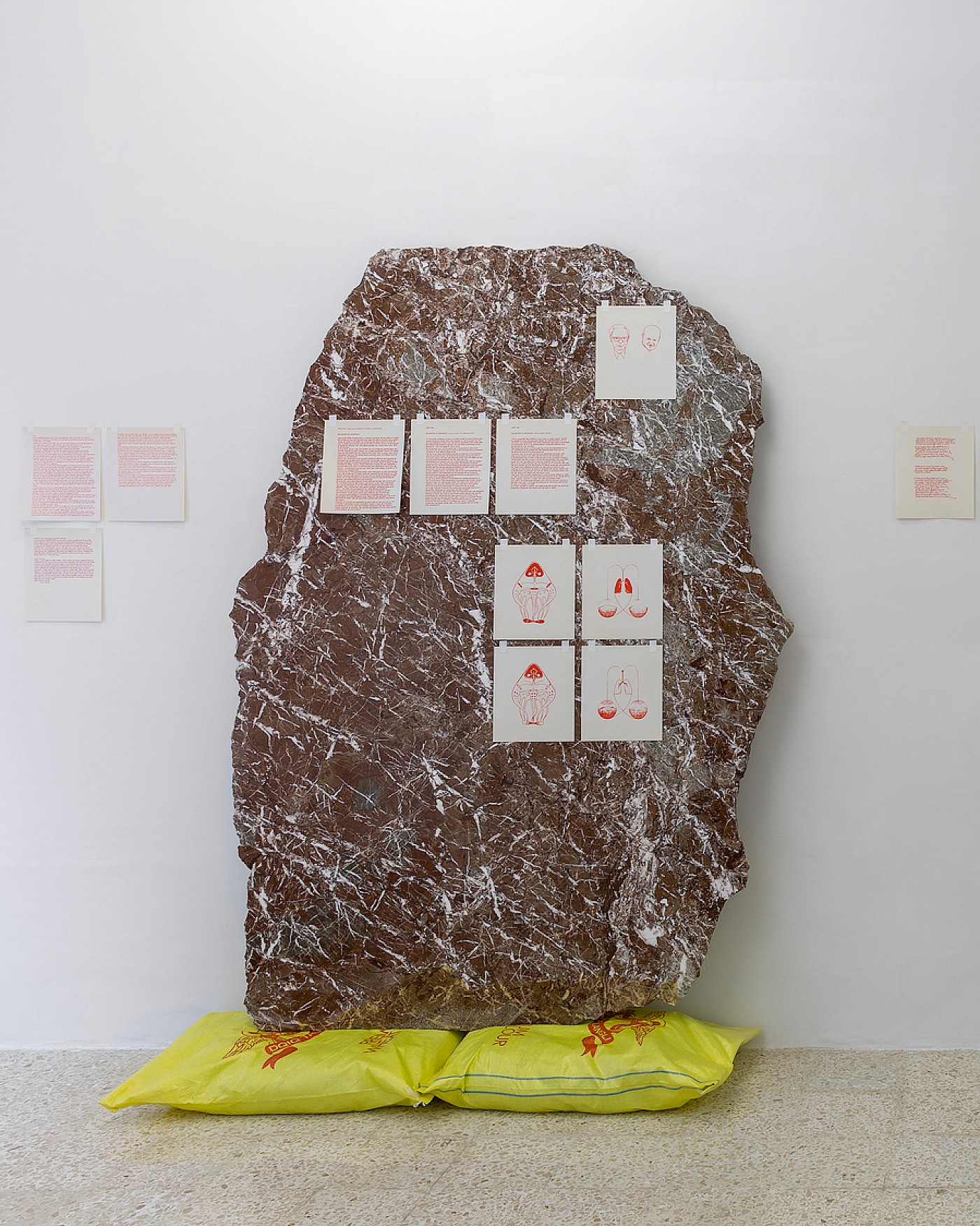 2023 Declaration of Dependence; Drafts and Depictions