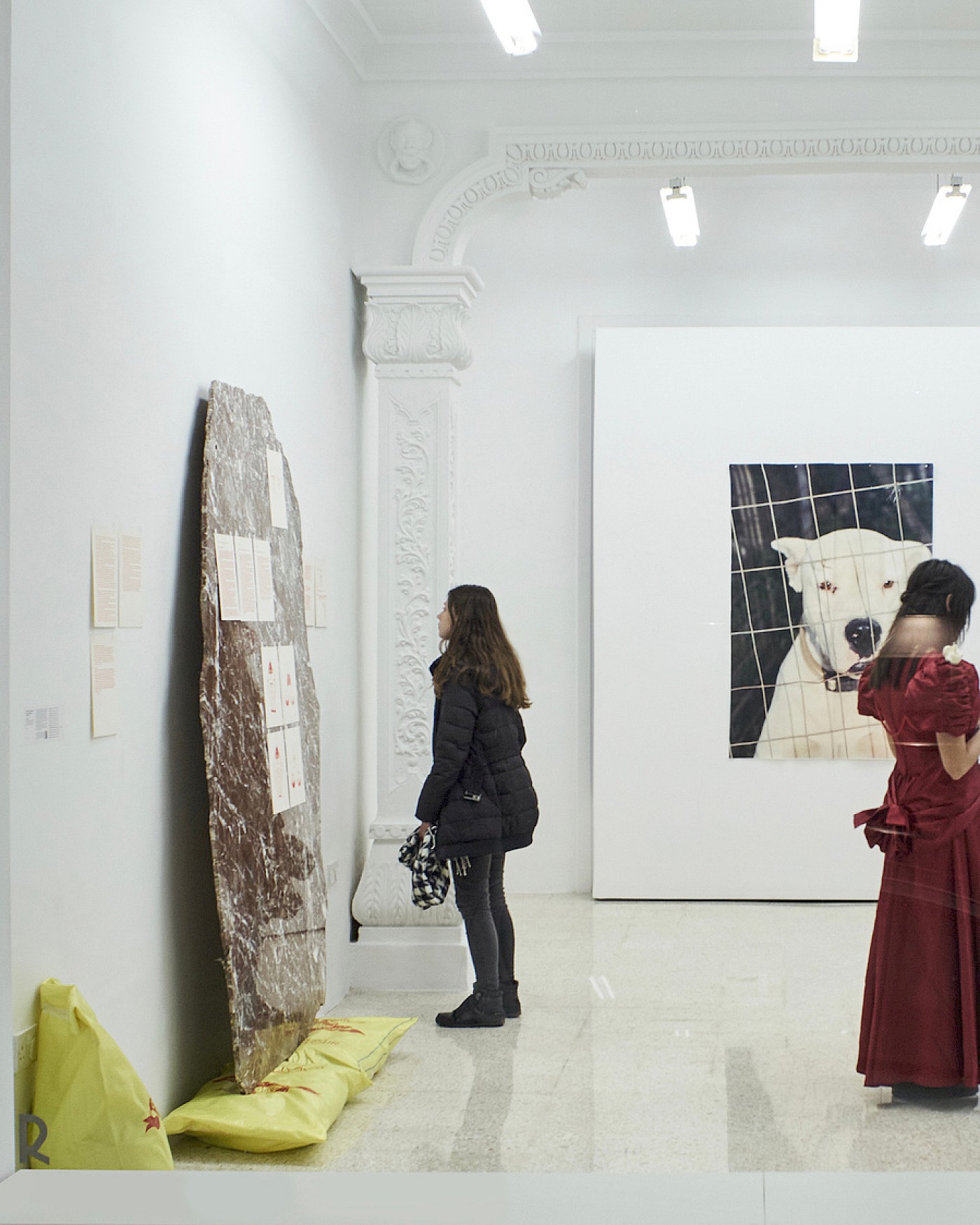 2023 Declaration of Dependence; Drafts and Depictions