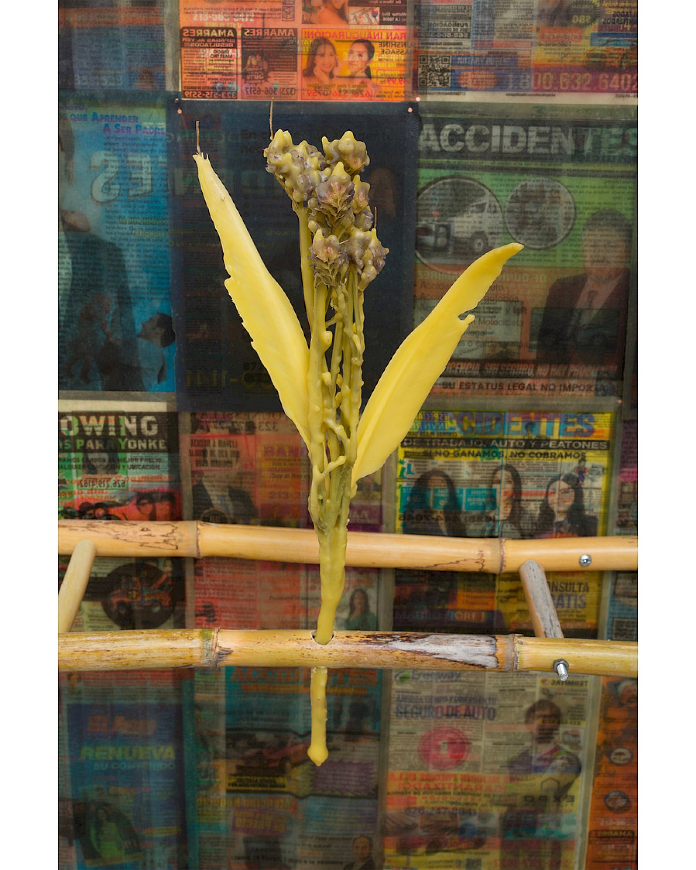 2018-2023 {Port-Al} / Harbor-Faith