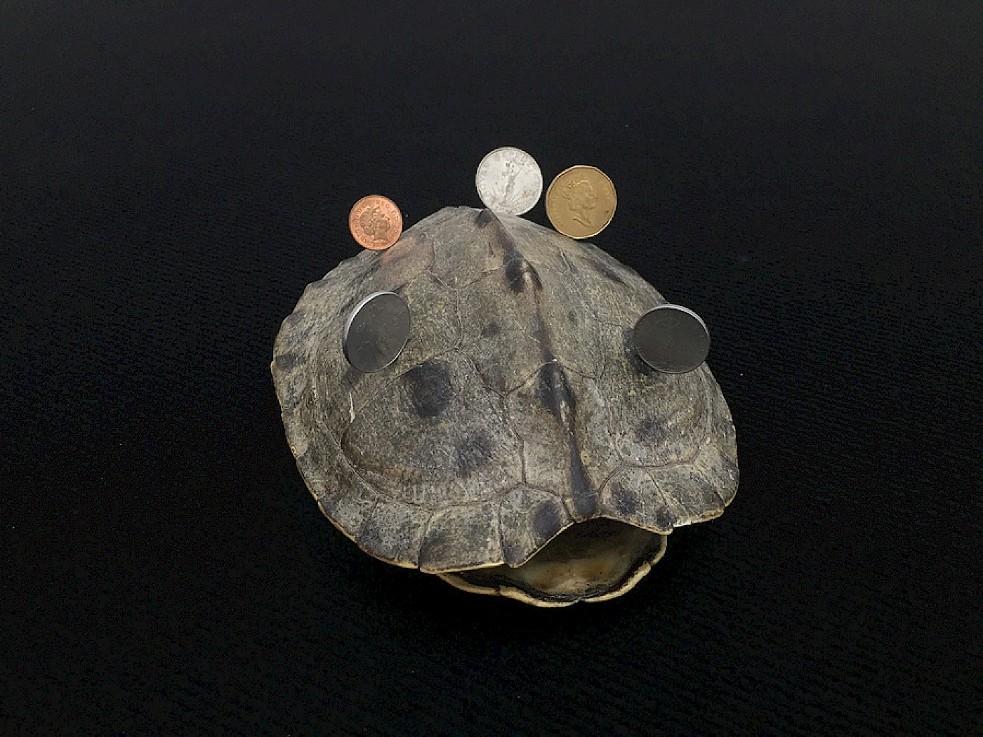 2018 Department for Martian Transportation