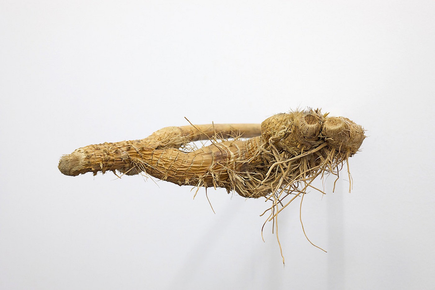 2018 Department for Martian Transportation