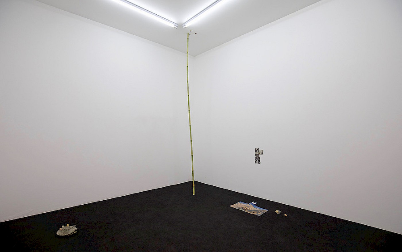 2018 Department for Martian Transportation