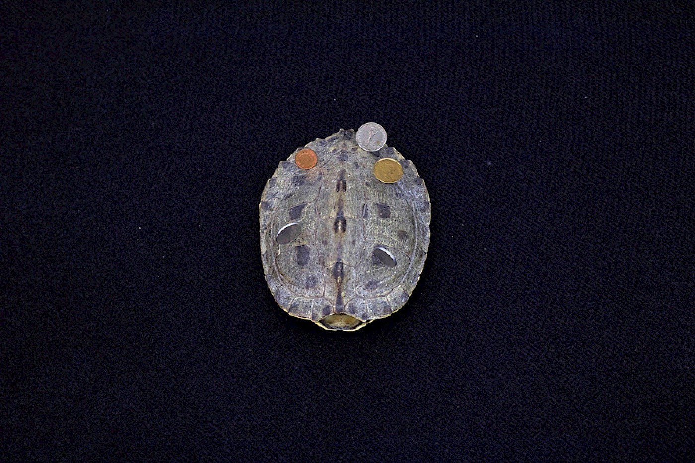 2018 Department for Martian Transportation