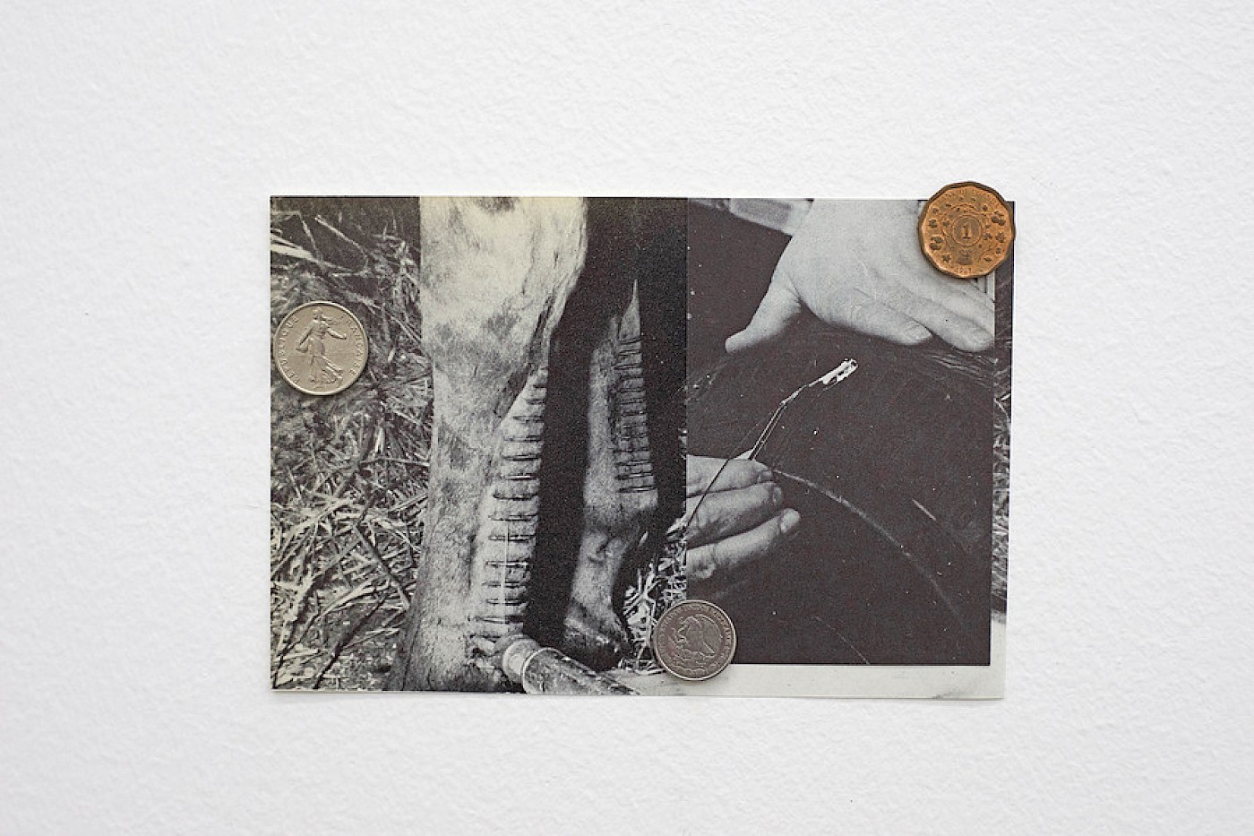 2018 Department for Martian Transportation