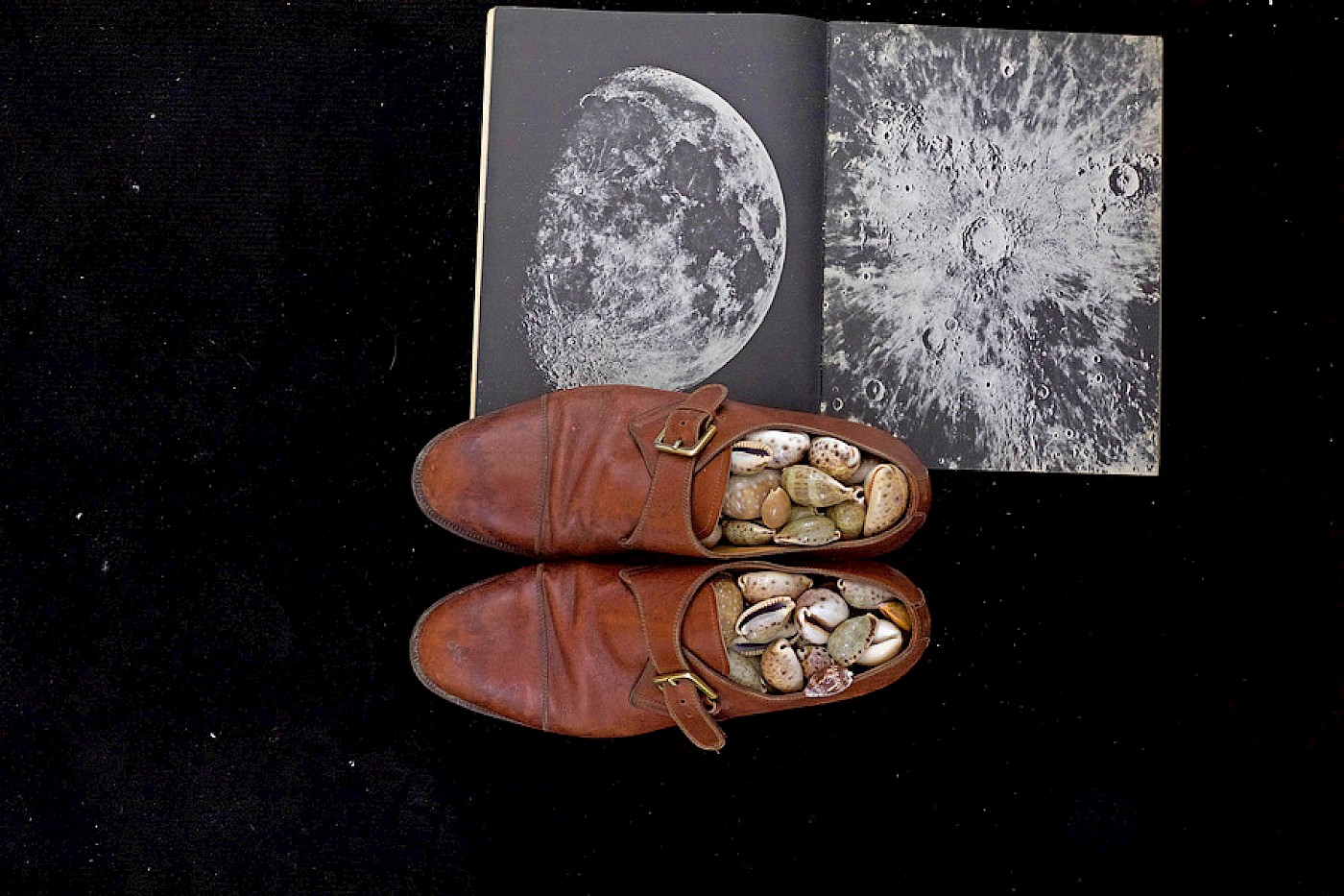 2018 Department for Martian Transportation