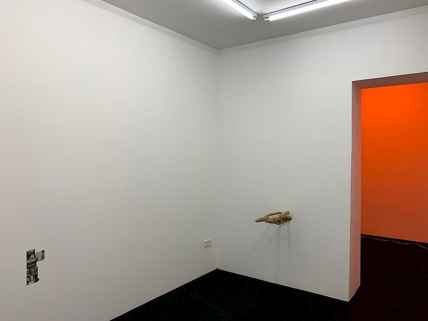 2018 Department for Martian Transportation