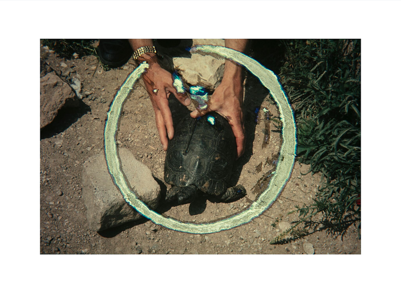 2018 Department for Martian Transportation