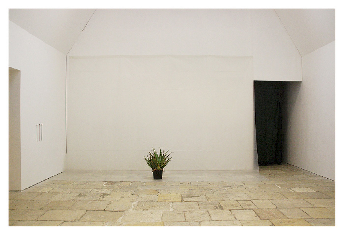 2014 FIRE BLOSSOM FLOWER