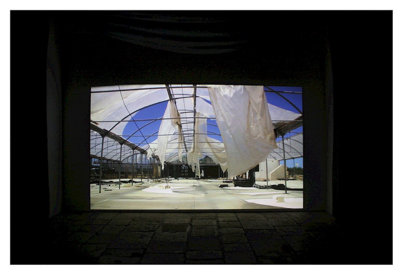 2014 FIRE BLOSSOM FLOWER