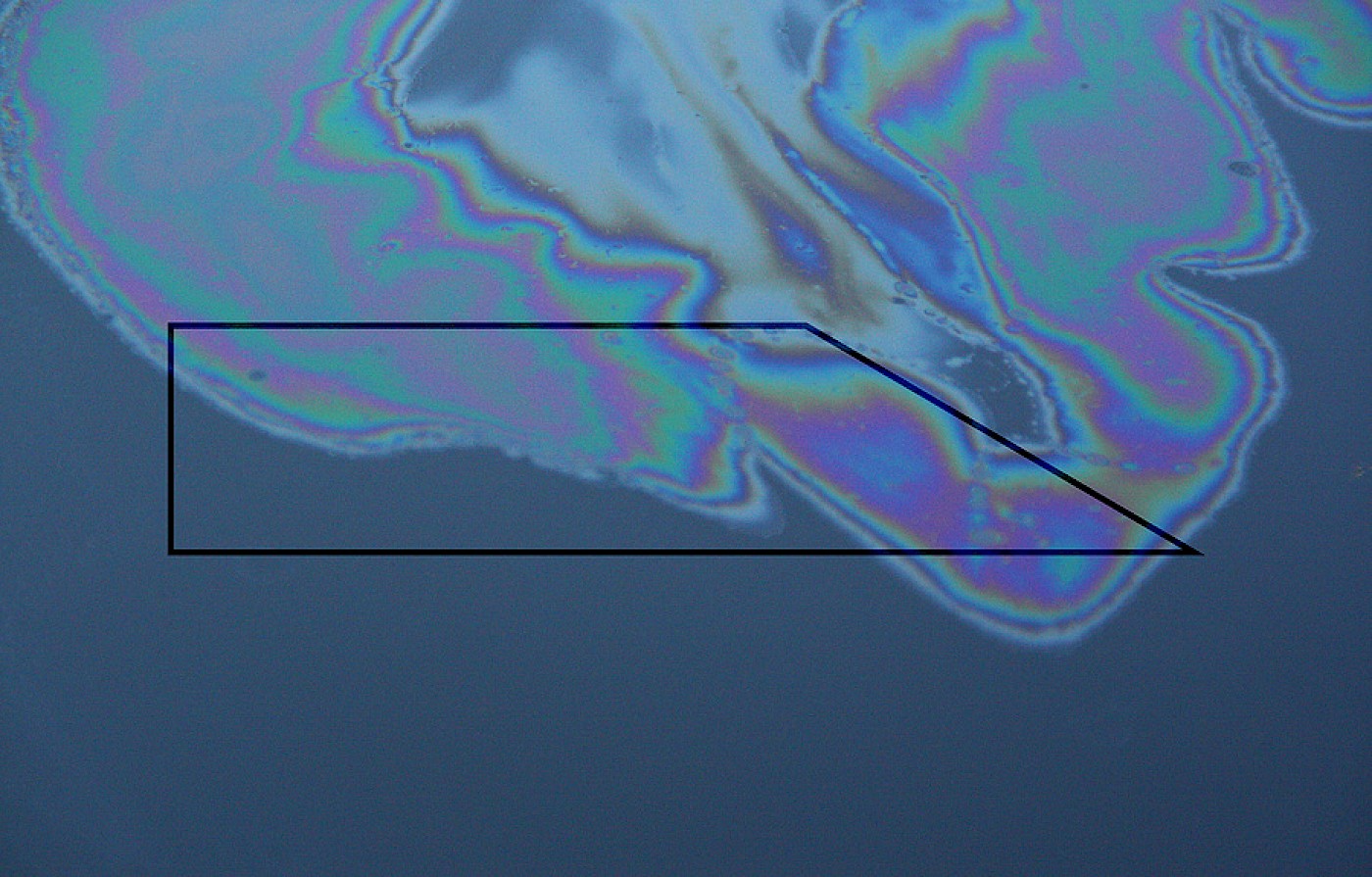 2013 Madonna of the Oil